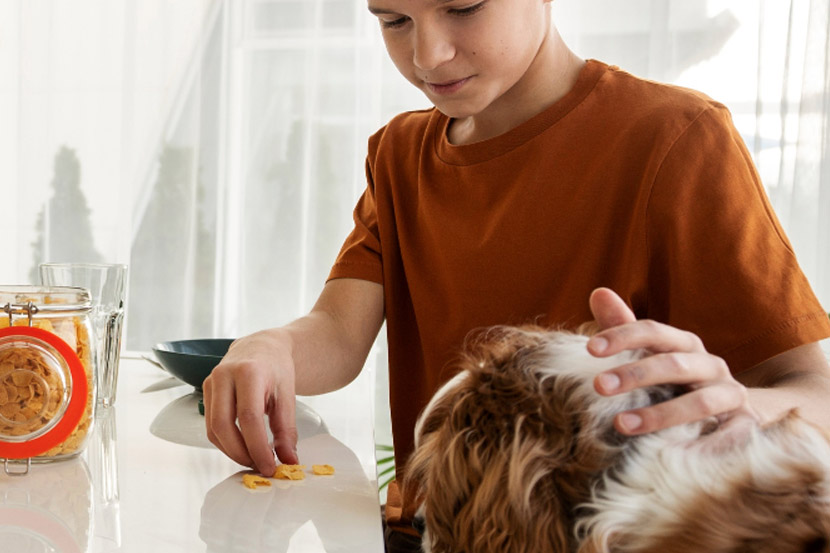 What Human Foods Are Safe For My Pet To Eat?