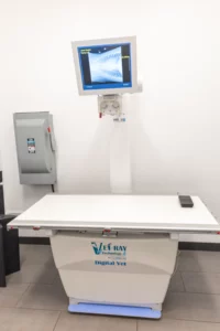 Ai3a4192