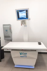 Ai3a4193