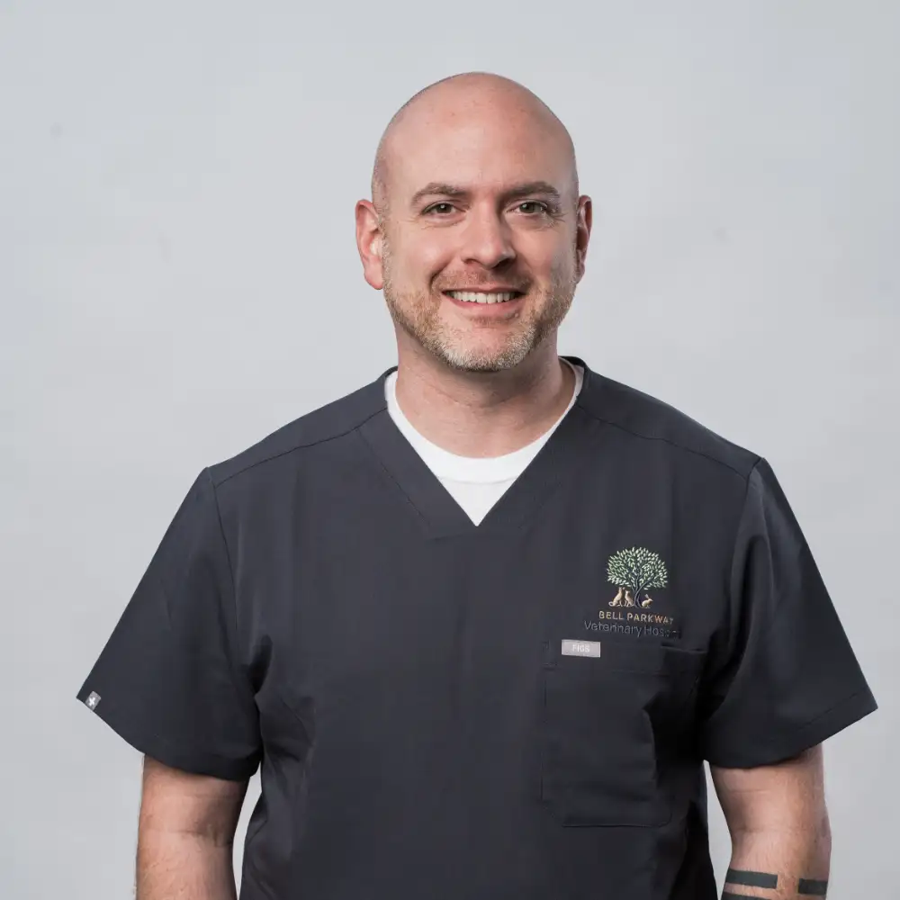 Austin, Receptionist at Bell Parkway Veterinary Hospital