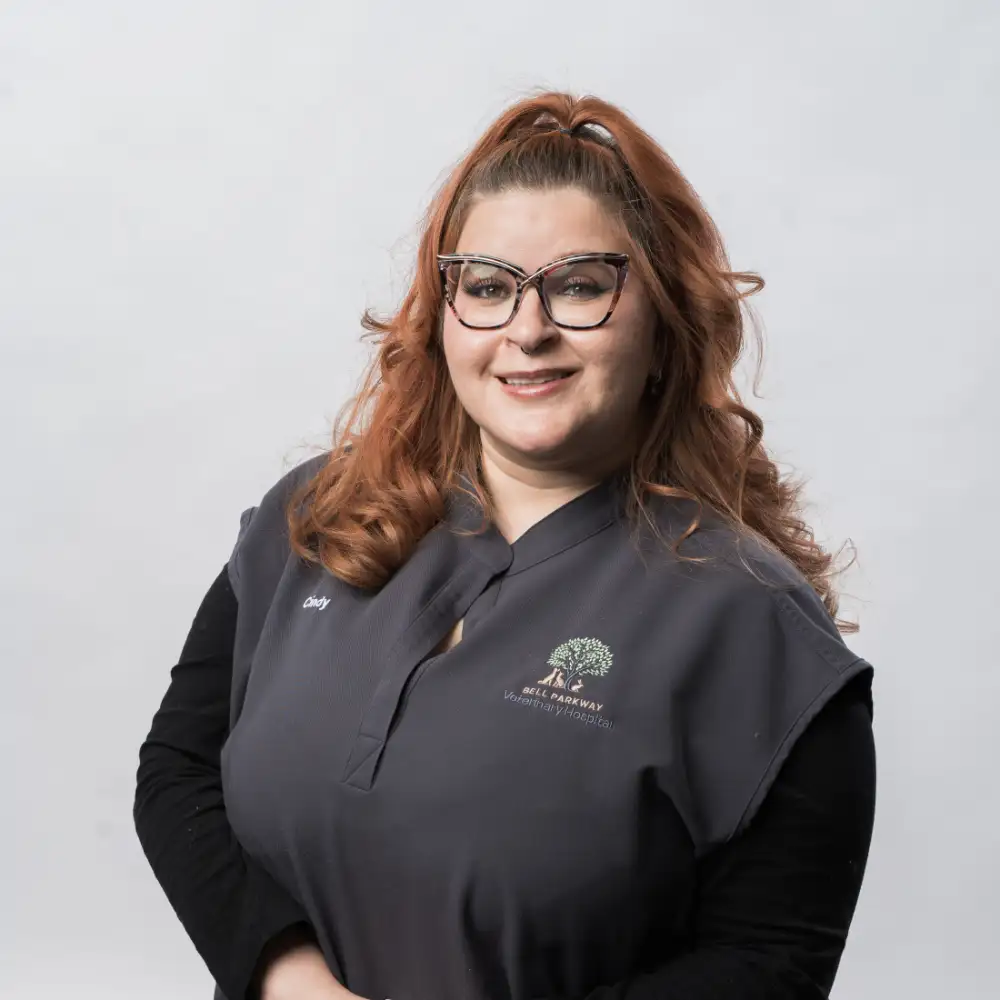 Cindy, Receptionist at Bell Parkway Veterinary Hospital