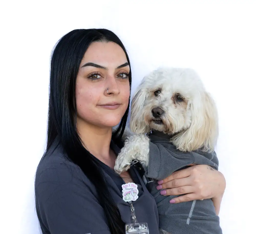Ileene Serpas, Lead Technician at Bell Parkway Veterinary Hospital