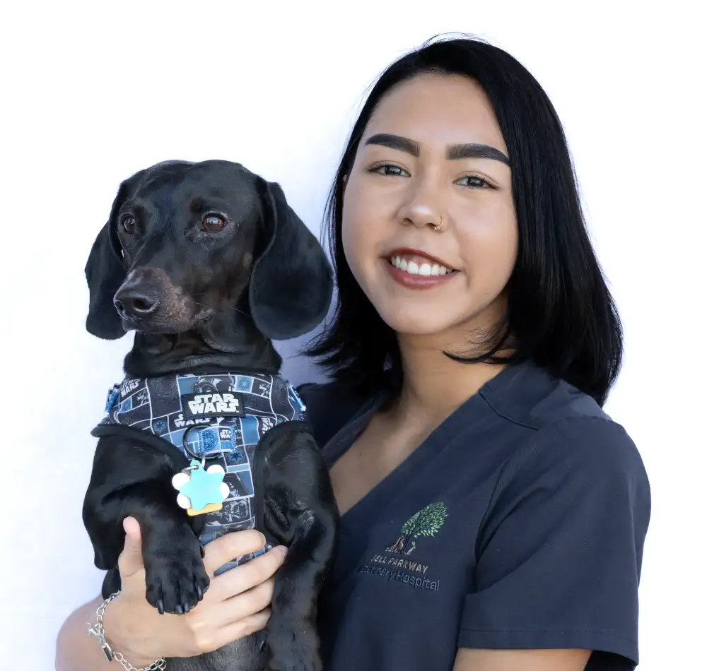 Katelyn Rodriguez, team member at Bell Parkway Veterinary Hospital