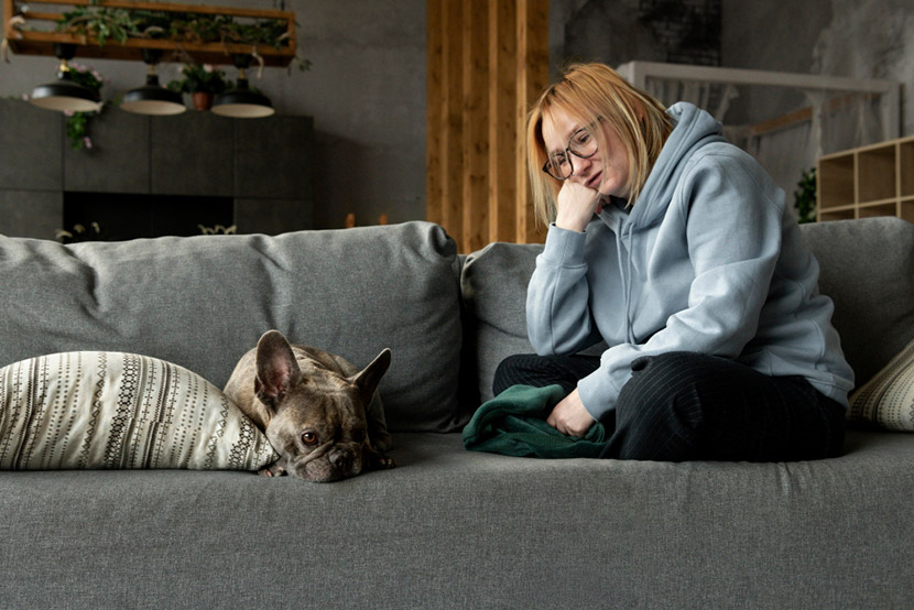 Helping Your Pet Feel More at Ease: Effective Ways to Reduce Anxiety at Home