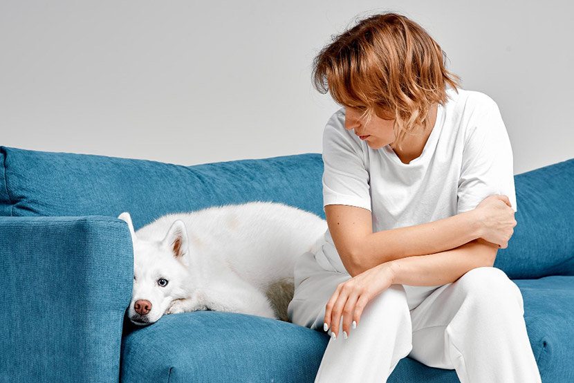 Is It More Than Stress? Understanding When Pet Anxiety Becomes a Health Concern
