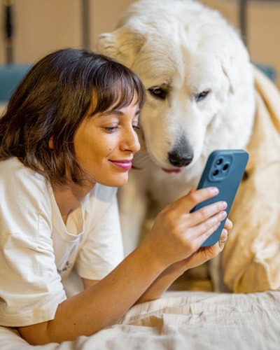 Pet wellness plans icon