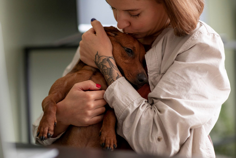From First Steps to Forever Safety: When to Microchip Your Puppy or Kitten