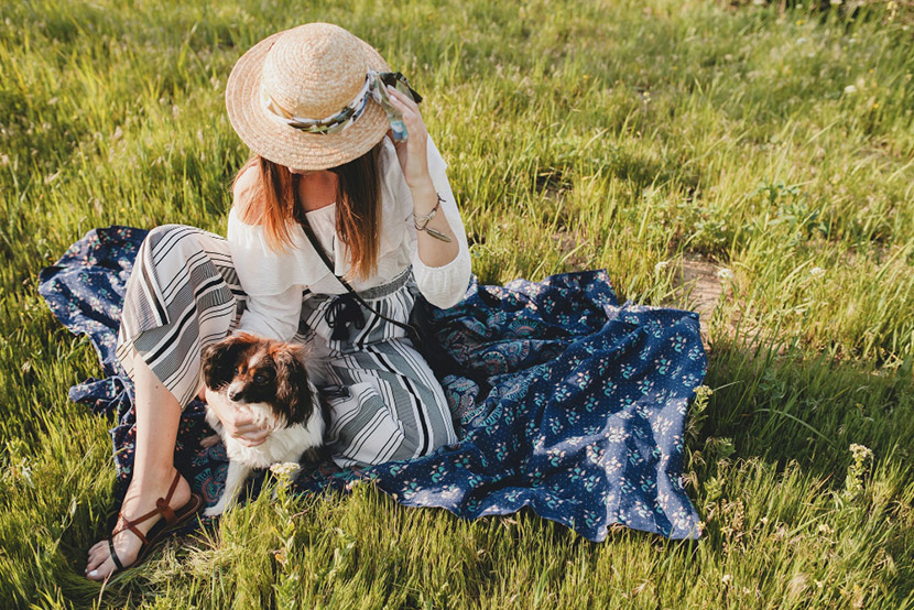 Valley Fever in Dogs and Cats: Understanding This Common Arizona Pet Illness