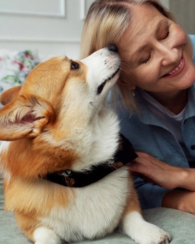 Veterinary service pricing guide for pet owners